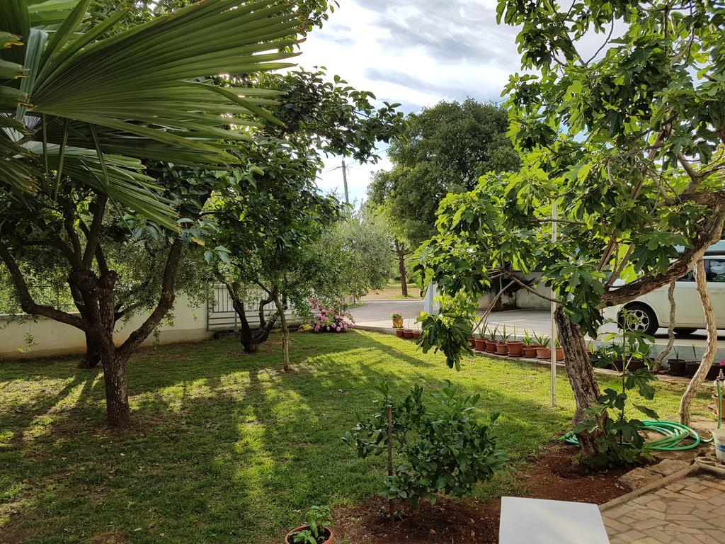 Villa Rosa With Yard And Children'S Playground Tar-Vabriga Exterior photo